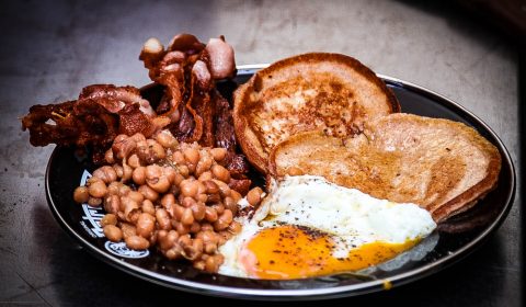 Kater Frühstück